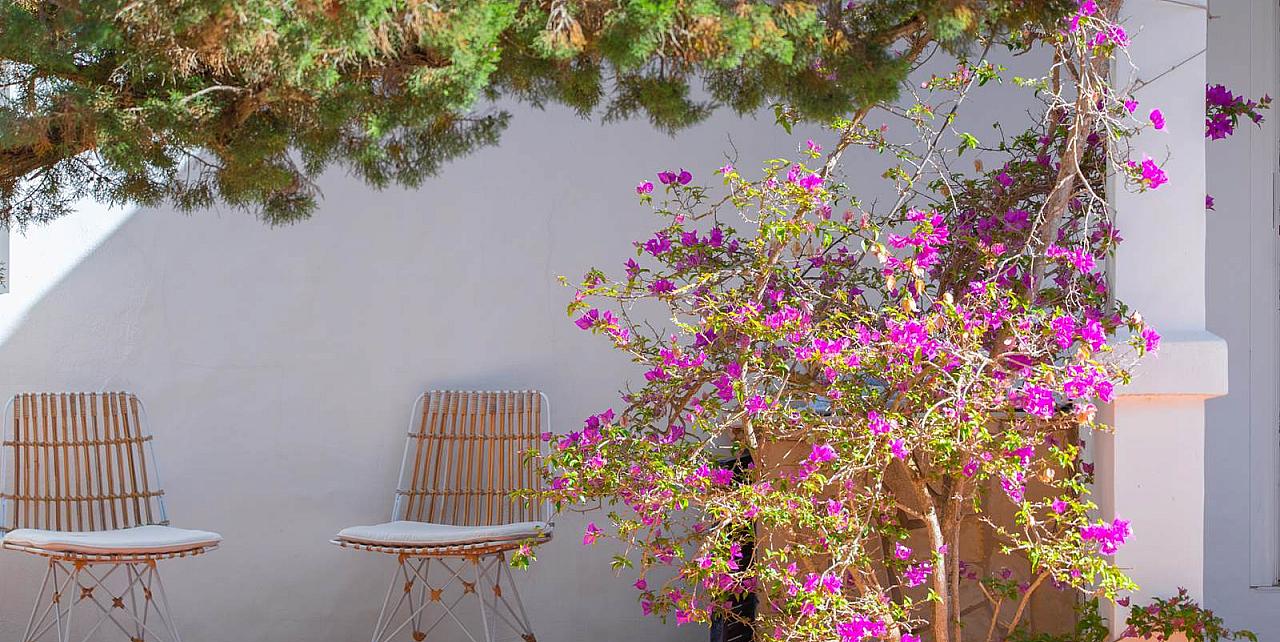 Villa for sale in Formentera