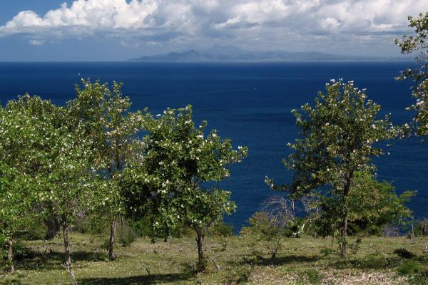 Mount Du Cap Waterfront Development Land