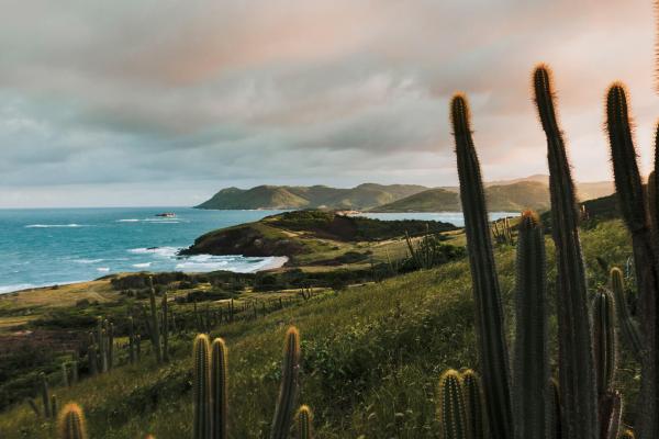Cabot St Lucia - Land