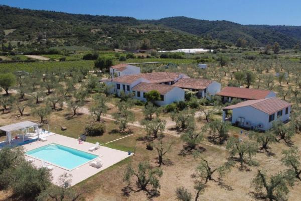 Charming Sardinian farmhouse with pool, vineyard, and olive grove
