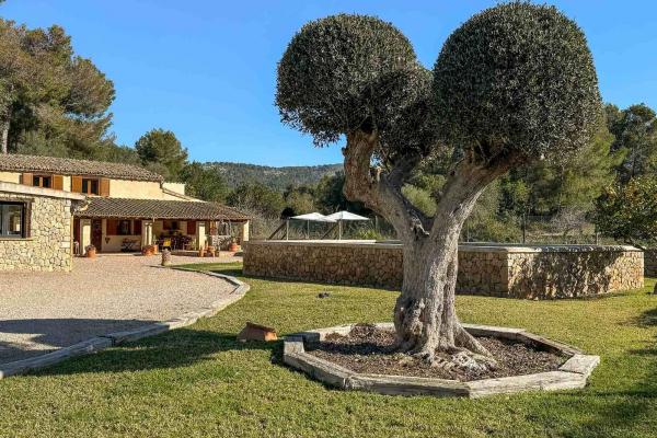 Restored Rustic Villa 