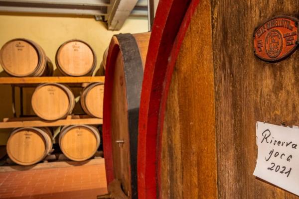 30-Acre Chianti Classico Winery and Vineyards for Sale
