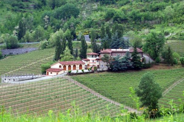 Wineries for sale for sale in Alessandria - Cremolino