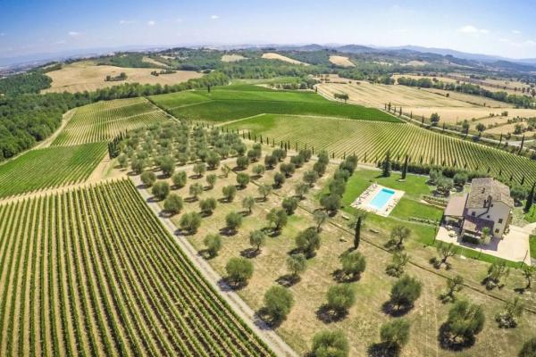 Wineries for sale for sale in Siena - Sarteano