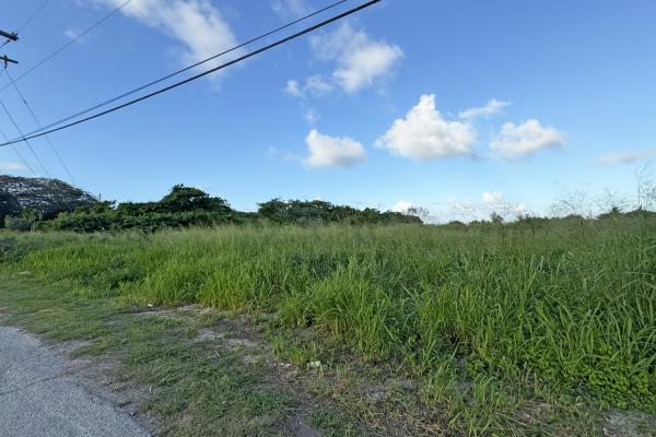 Sandford Lot 1