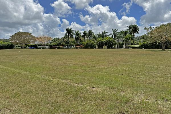 Palm Ridge Lot 8