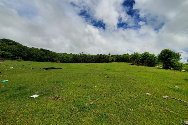 Land at Indian Pond