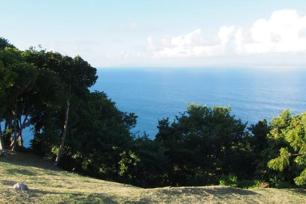 Mount du Cap Lot 7
