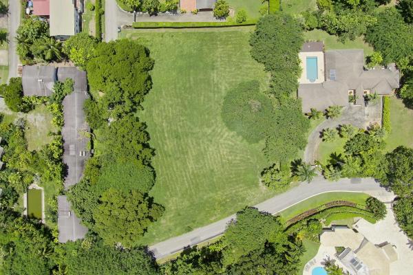 Sandy Lane Lot 161
