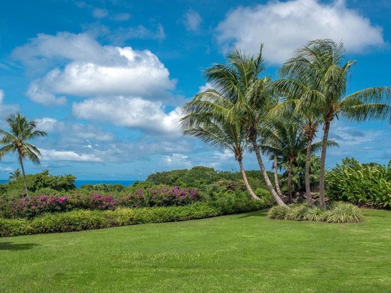 Windfall - Westland Heights , St James , West Coast , Westland Heights 