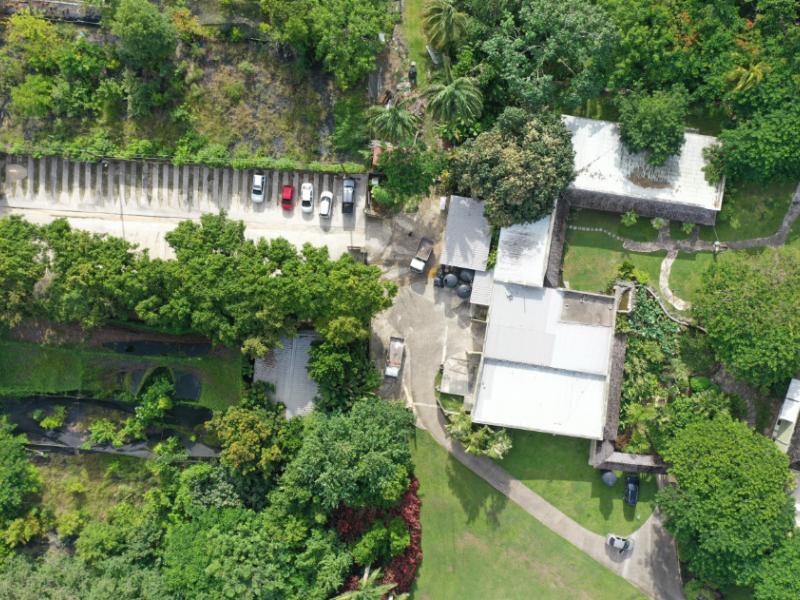 Strong Hope Plantation , St Thomas 