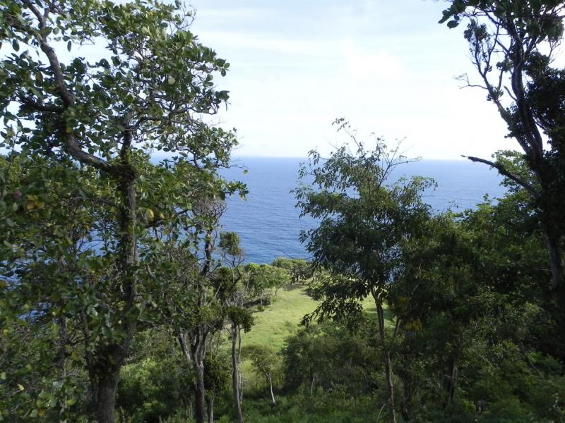 Mount Du Cap Waterfront Development Land , Gros lset 