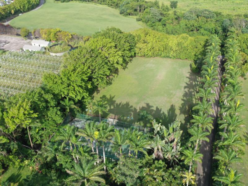 Strong Hope Plantation , St Thomas 