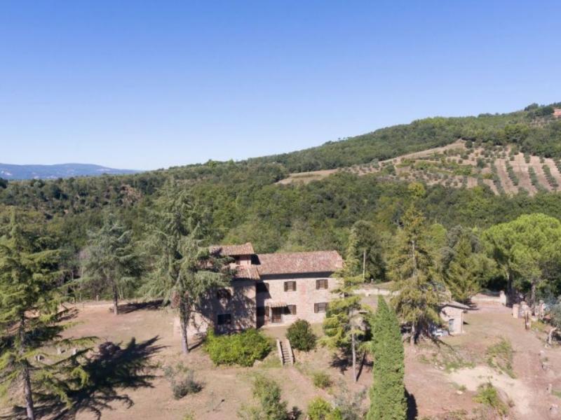 Houses for sale in Perugia - Città della Pieve , 