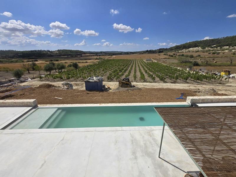 New-Build Finca with Vineyard & Guest House , Central 