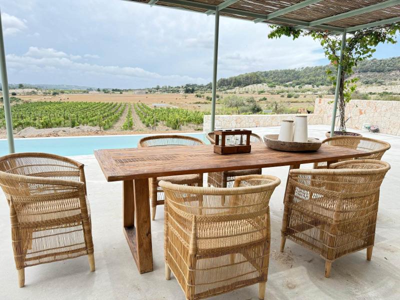 New-Build Finca with Vineyard & Guest House , Central 