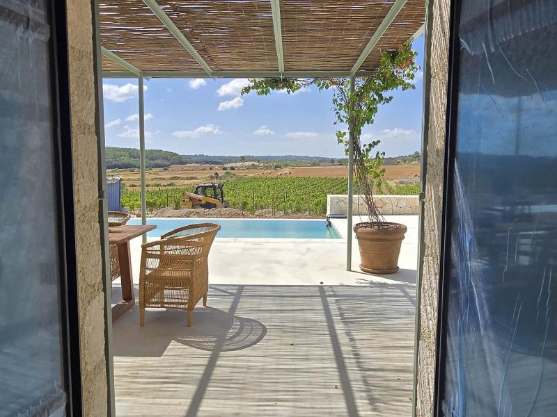 New-Build Finca with Vineyard & Guest House , Central 