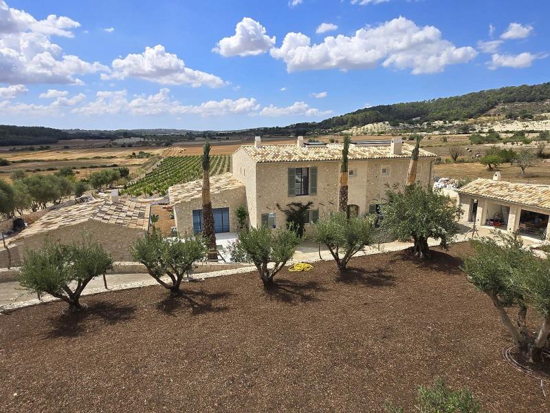 New-Build Finca with Vineyard & Guest House , Central 