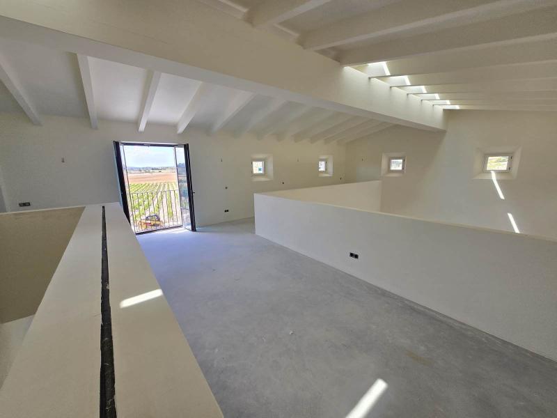 New-Build Finca with Vineyard & Guest House , Central 