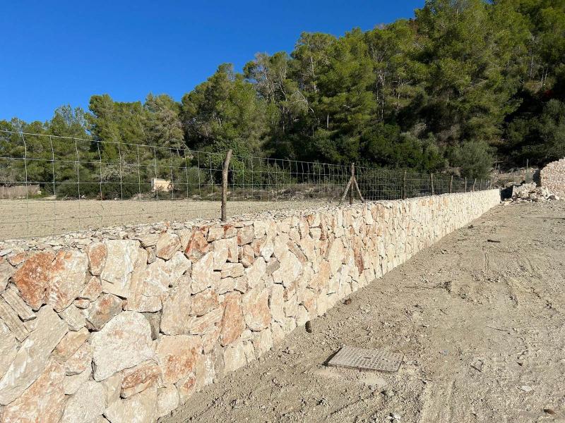 New-Build Finca with Vineyard & Guest House , Central 