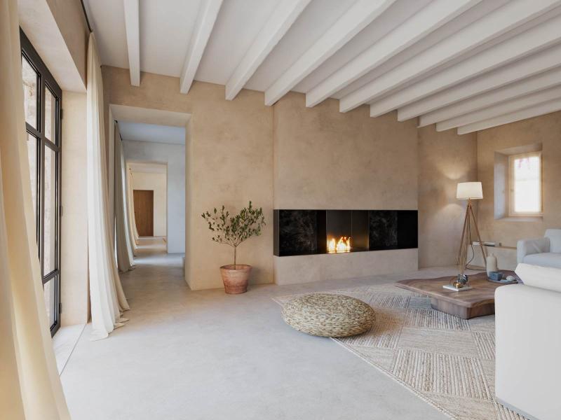New-Build Finca with Vineyard & Guest House , Central 