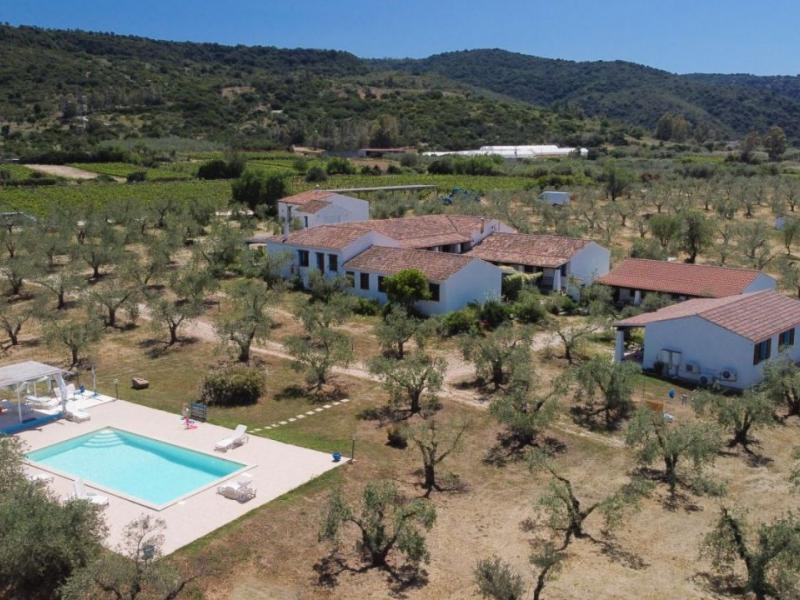 Charming Sardinian farmhouse with pool, vineyard, and olive grove , Sardinia 