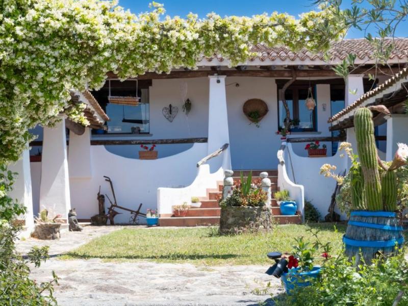 Charming Sardinian farmhouse with pool, vineyard, and olive grove , Sardinia 