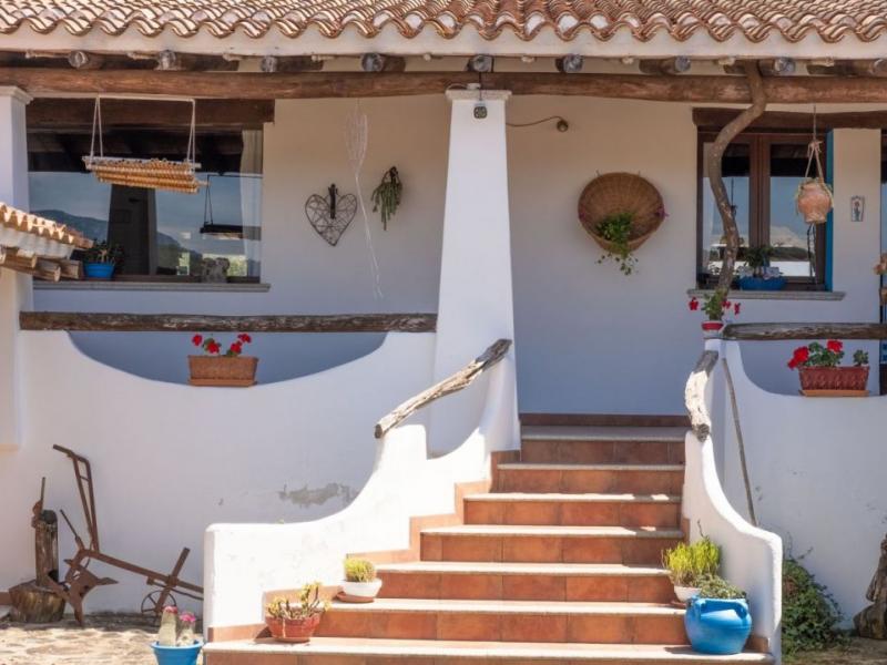 Charming Sardinian farmhouse with pool, vineyard, and olive grove , Sardinia 
