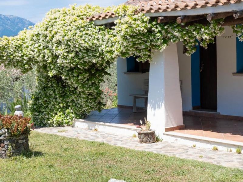 Charming Sardinian farmhouse with pool, vineyard, and olive grove , Sardinia 