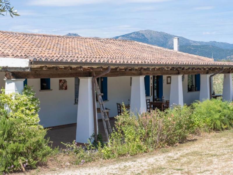 Charming Sardinian farmhouse with pool, vineyard, and olive grove , Sardinia 