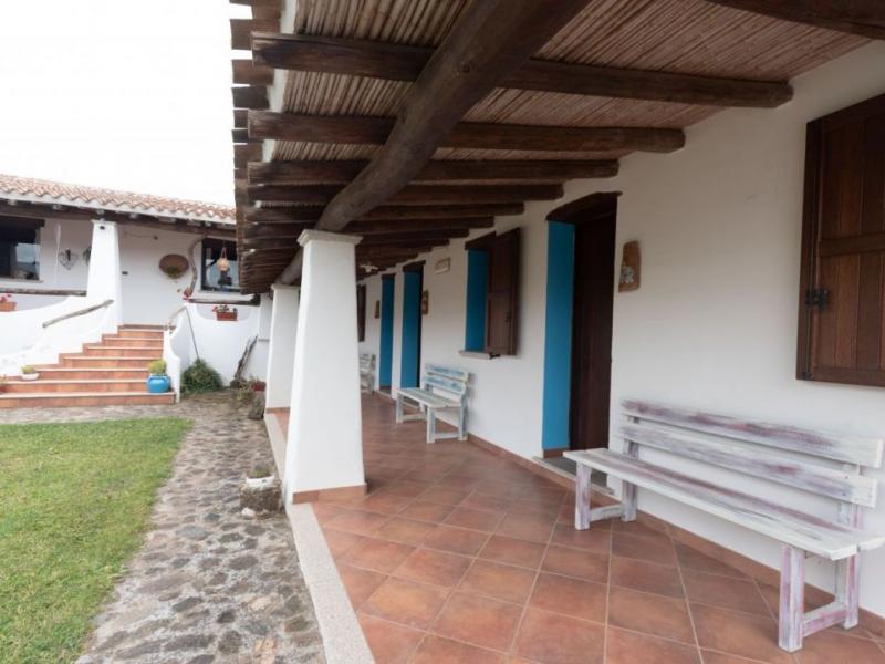 Charming Sardinian farmhouse with pool, vineyard, and olive grove , Sardinia 