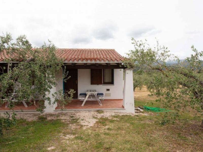 Charming Sardinian farmhouse with pool, vineyard, and olive grove , Sardinia 
