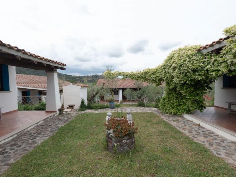 Charming Sardinian farmhouse with pool, vineyard, and olive grove , Sardinia 