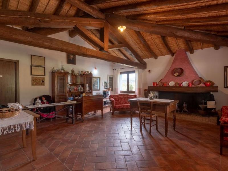 Charming Sardinian farmhouse with pool, vineyard, and olive grove , Sardinia 