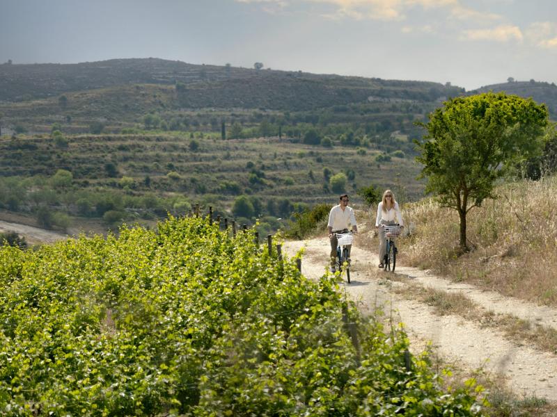 2 Bedrooms Apartment for sale in Tsada Pafos Town : PA-126-8616 , Pafos 