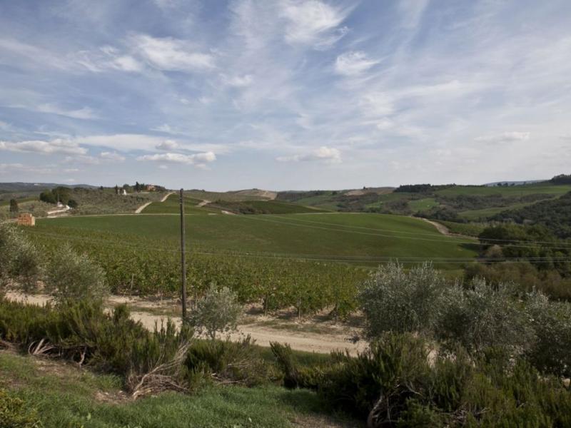 Restored Historic Estate With Vineyards, Olive Groves, and Pool , Tuscany 