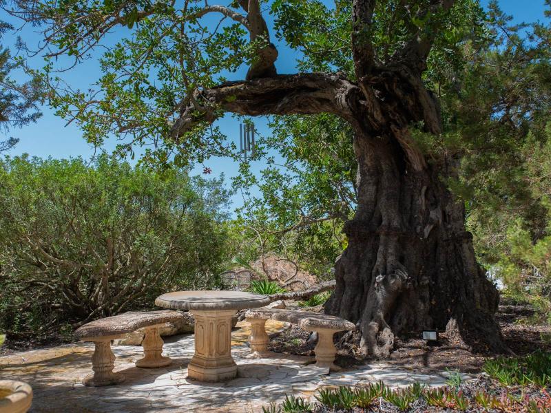 Authentic 400-Year-Old Finca for Sale , Sant Josep de sa Talaia, 