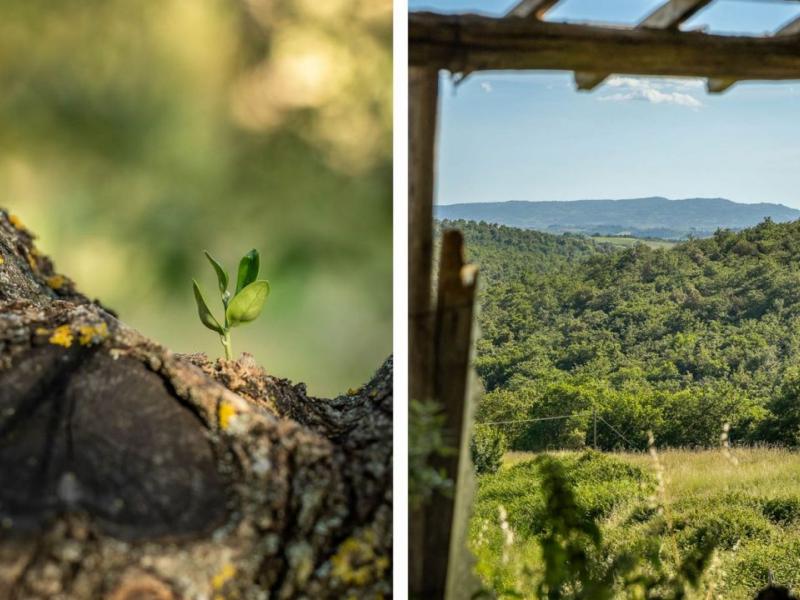 Panoramic Stone Country House for Sale , Tuscany 