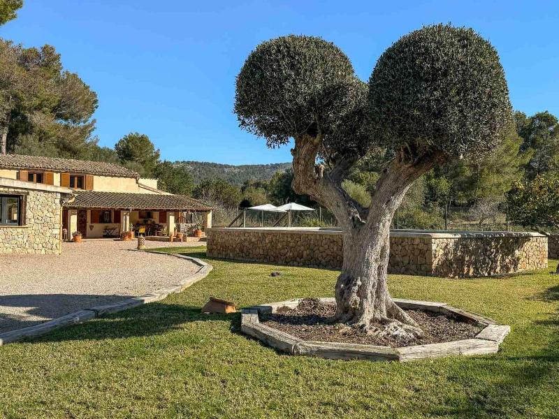 Restored Rustic Villa , Calvia 