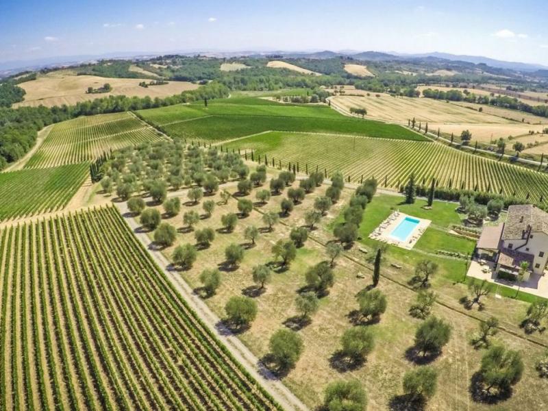 Wineries for sale for sale in Siena - Sarteano , 