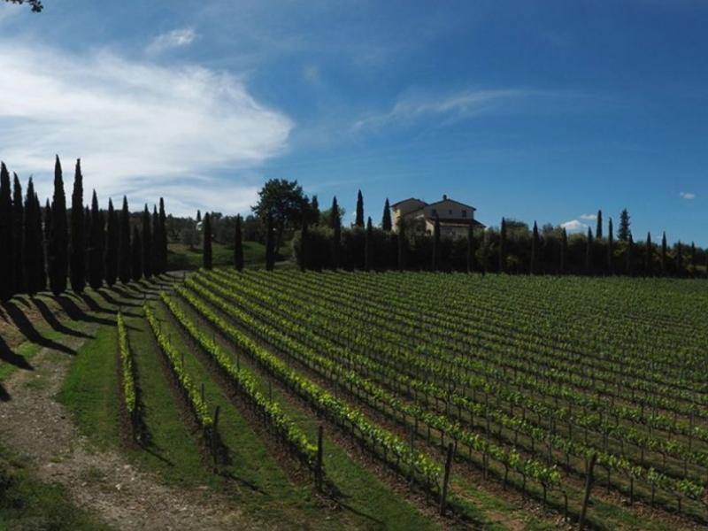 Wineries for sale for sale in Siena - Sarteano , 