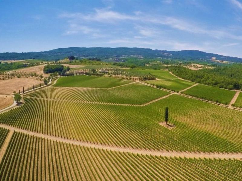 Wineries for sale for sale in Siena - Sarteano , 