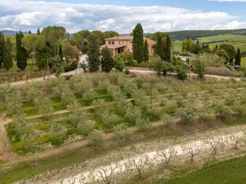 Country House/Farmhouse for sale for sale in Siena - San Quirico d'Orcia , 