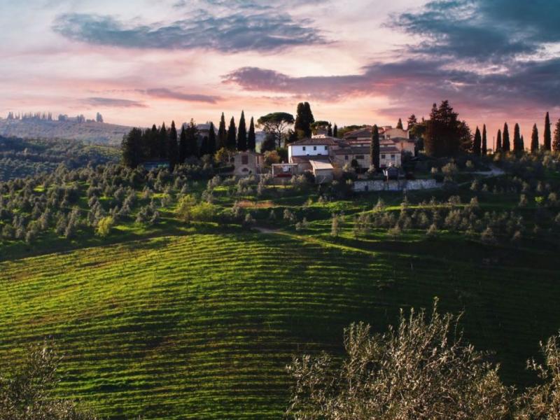 Wineries for sale for sale in Firenze - Scandicci , 