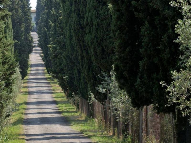 Wineries for sale for sale in Firenze - Scandicci , 