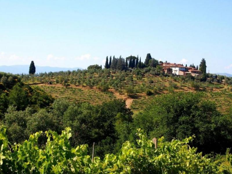 Wineries for sale for sale in Firenze - Scandicci , 