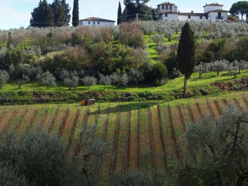 Wineries for sale for sale in Firenze - Scandicci , 