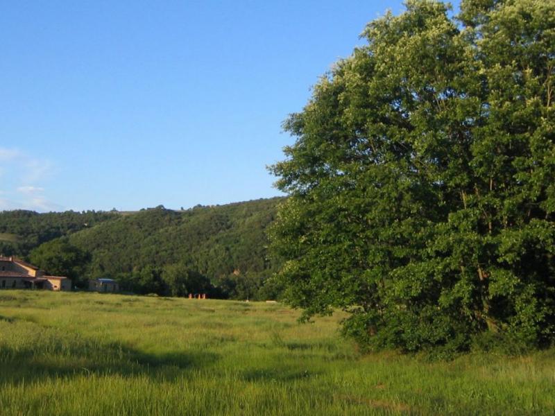 1700s Stone Farmhouse with Pool, Solar Energy & DOC Vineyards , Tuscany 