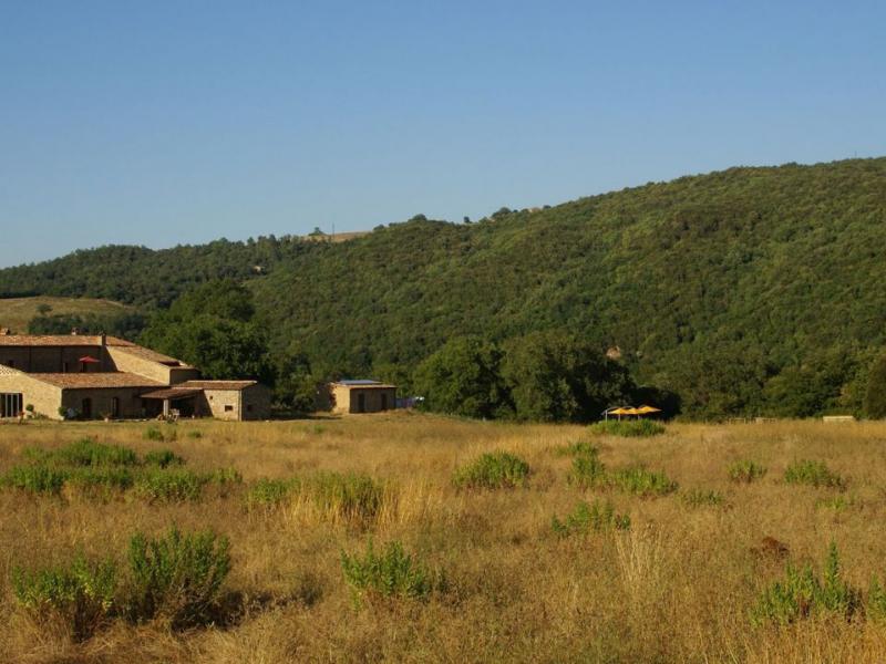 1700s Stone Farmhouse with Pool, Solar Energy & DOC Vineyards , Tuscany 