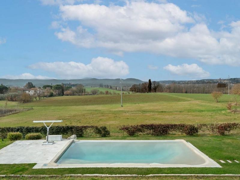Luxury Eco Villa with Infinity Bio Pool and Olive Grove , Tuscany 